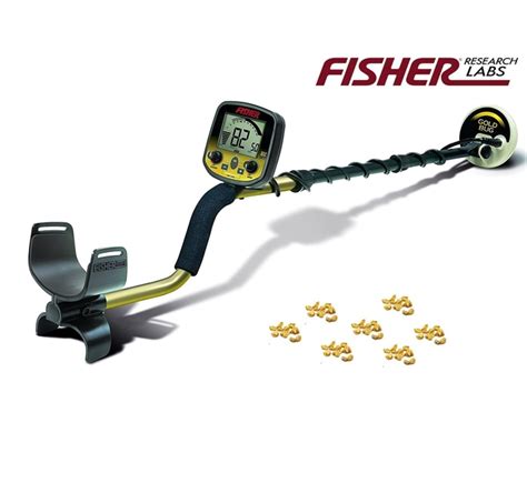 DETECTOR DE METAL FISHER GOLD BUG C BOBINA 5 DD DE 19 KHZ