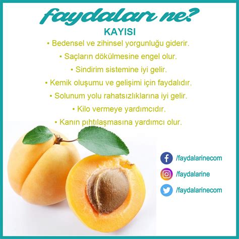 Kay S N N Faydalar Nelerdir