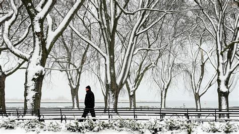 Toronto weather: More snow expected to hit the city Thursday | CTV News