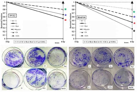 Clonogenic Assay Survival Fraction SF Of PNT2 And B16F10 Cells