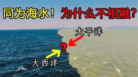 同样是海水，为什么太平洋和大西洋不相容？这是什么原因导致的？ Videos Mzdn望世界 Gan Jing World