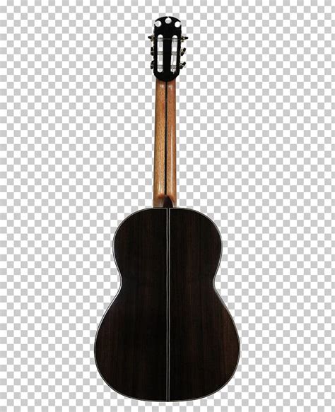 Acoustic Guitar Tiple Bass Guitar Acoustic Electric Guitar Cavaquinho