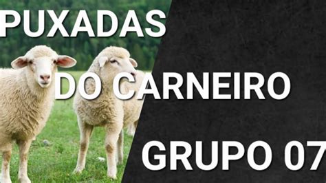 Qual A Puxada Do Carneiro - PUXADAS DO CARNEIRO GRUPO 07 PUXADAS DO JOGO DO BICHO 🍀 🌿 🌳 🍁 - YouTube