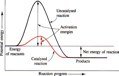 Solved The Diagram Shown Above Shows The Reaction Profile