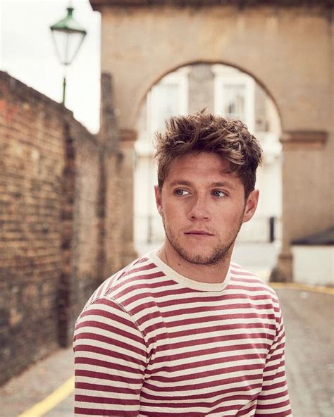 Niall For Flicker 2017 Niall Horan James Horan Naill Horan