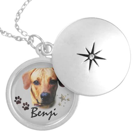 Personalized Pet Memorial Necklace | Zazzle