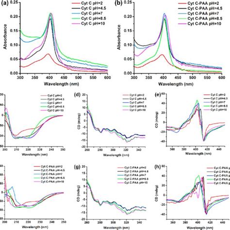 Uv Vis Spectra Of Native Cyt C A And Cyt C Paa Conjugate B In The