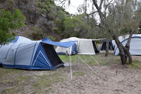 Waddy Point Top And Beachfront Campground All About Fraser Island