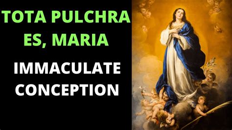 Tota Pulchra Es O Maria Marian Hymn In Honor Of Our Ladys Immaculate