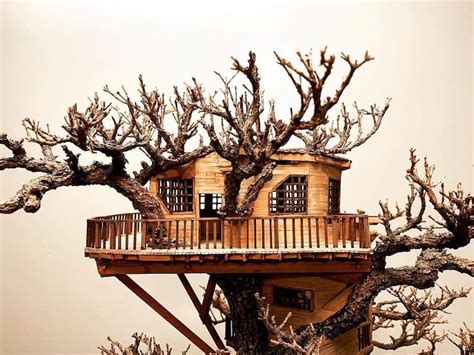 Artist Hand Builds Miniature Treehouses Within Bonsai Trees