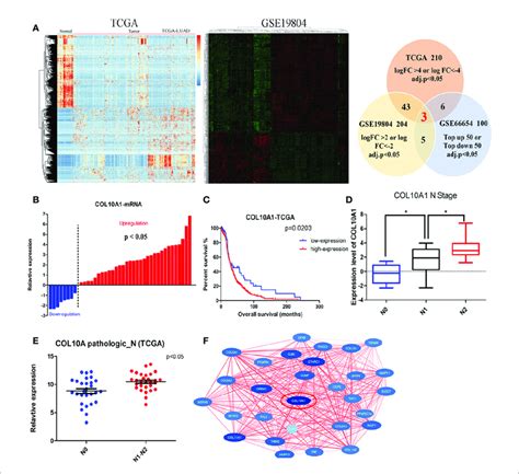 Col A Upregulation In Lung Adenocarcinoma Luad Tissues Correlates