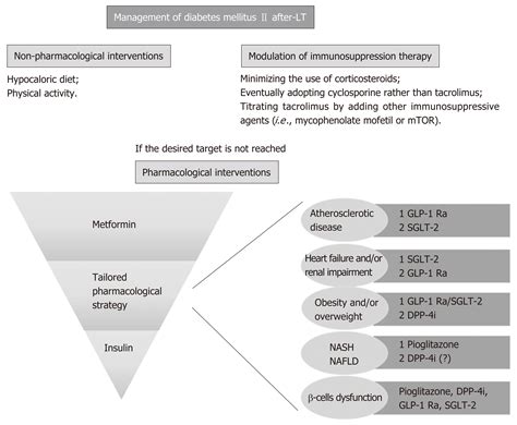 Medical Management Of Metabolic And Cardiovascular Complications After Liver Transplantation