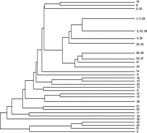 Dendrogram Plot Depicting The Result Of The Upgma Cluster Analysis