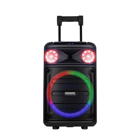 Professional Trolley Private Powerful Speaker With Multifunctional