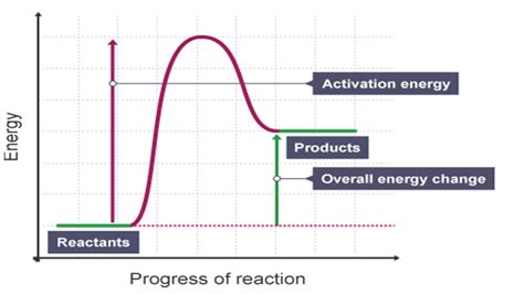 Endothermic Energy Diagram