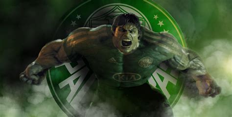 Palmeiras Wallpapers Wallpaper Cave