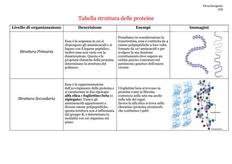 Tabella Struttura Delle Proteine Biologia Piera Garegnani 2 B