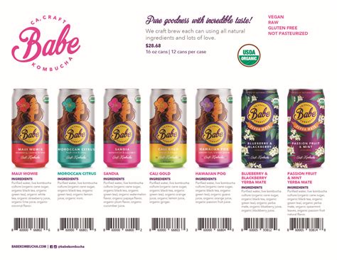 Babe Kombucha Nombase CPG Company Database