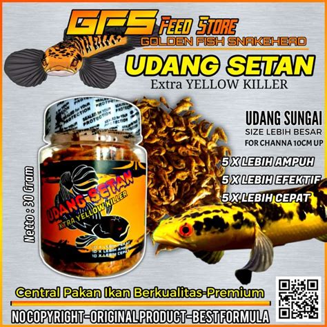 Udang Setan Yellow Pakan Channa Maru Original Gfs Lazada Indonesia