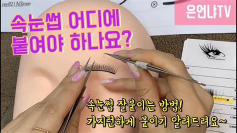 초보편 연장팁1탄 ️속눈썹연장 어디에 붙여요마네킹 종이컵 속눈썹잘붙이는방법 독학 기초배우기 잘붙이는법 글루사용 핀셋가르기