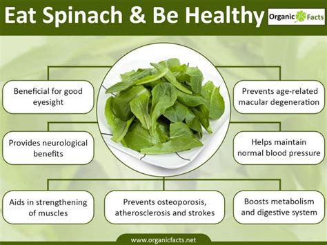 Benefits of Spinach | Nikki Kuban Minton