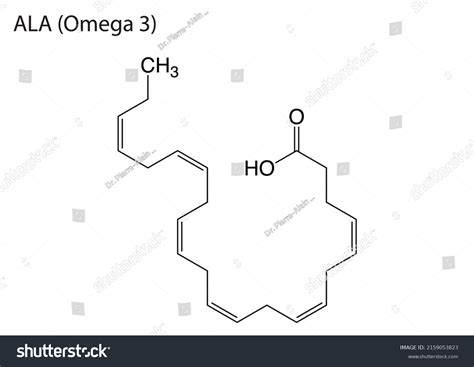 Eps Molecular Structure Acid Ala Omega Stock Vector Royalty Free