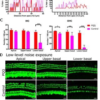 Abr Thresholds In The Age Related Hearing Loss Model Abr Thresholds Of