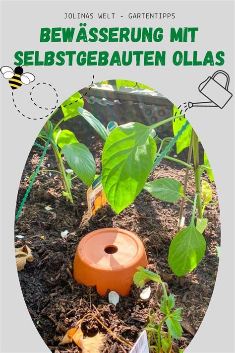 Eine Olla Zur Bew Sserung Selbst Bauen Gartentipps Selber Bauen