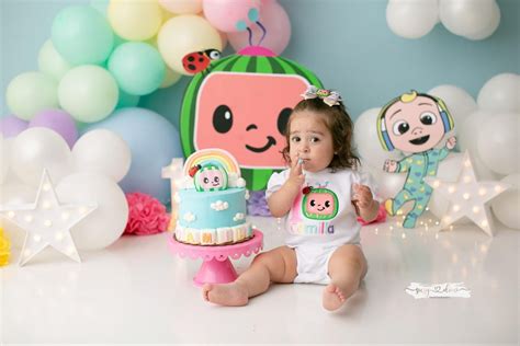 Cocomelon Cake Smash Baby Birthday Party Theme Baby Birthday