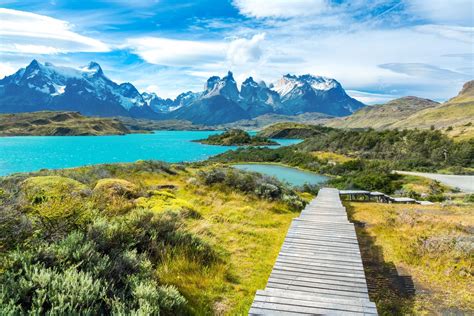 Patagonia Chinela