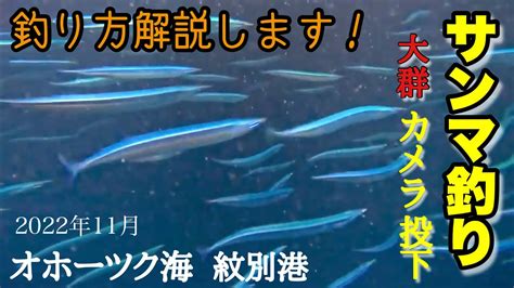 【サンマ釣り】オホーツク海、紋別港でサンマが大爆釣！水中映像必見‼️釣り方や道具など紹介します！ Youtube