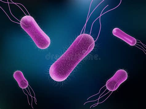 Salmonella Bacteria Stock Illustration Illustration Of Food