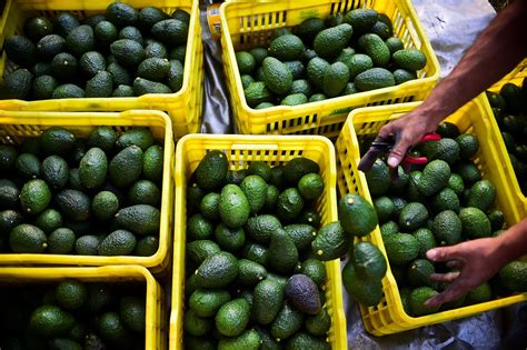 Youll Pay More For These Foods If Trump Taxes Mexican Imports Eater