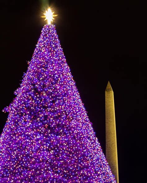 30+ Things To Do in Washington DC During the Holidays in 2023