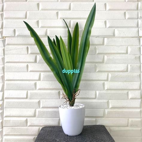 Jual Tanaman Hias Daun Pandan Wangi X Latex Artificial Pot Gelas