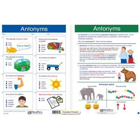 Antonyms - Laminated, Write-On & Wipe-Off Visual Learning Guide