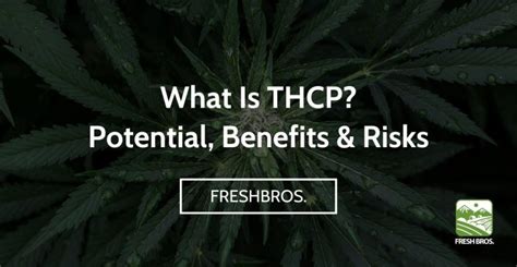 What Is THCP Benefits Risk And Potential