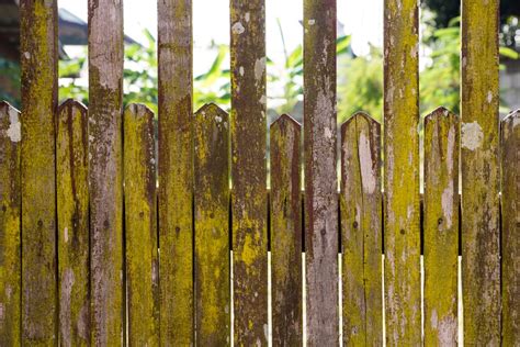 Fence Maintenance Tips For Moisture And Mold Atlanta Fence Company