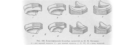 Классификация оттискных материалов для стоматологии | DENTALPRODUCT