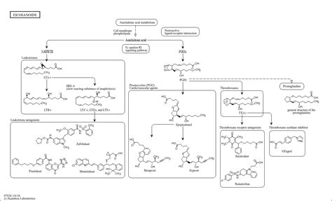 Eicosanoids; Icosanoids