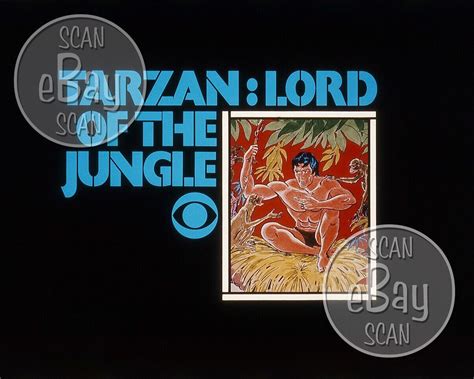 Rare Tarzan Lord Of The Jungle Cartoon Tv Photo Filmation Associates