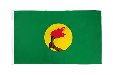 Zaire Flag – FlagsMart