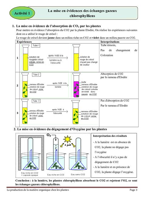 Production De Matiere Organique Par Les Plantes