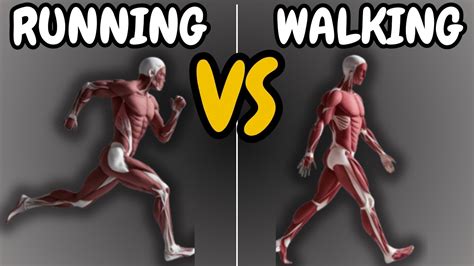 Walking Vs Running For Weight Loss Other Benefits Youtube