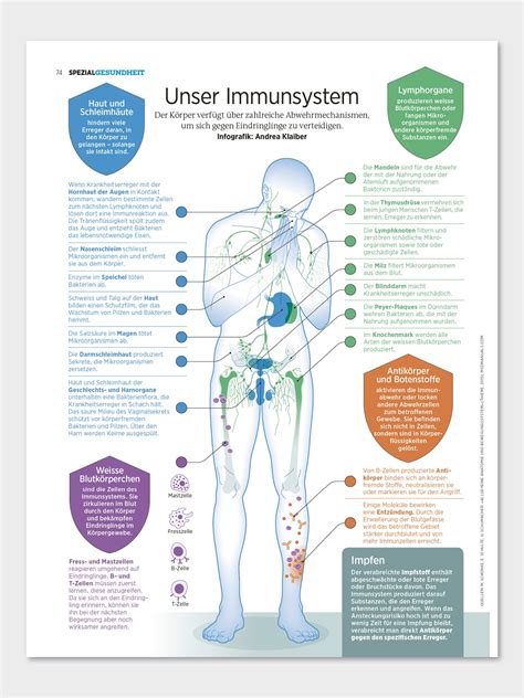 Doppelkopf Unser Immunsystem