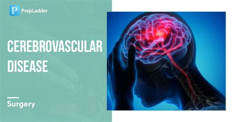 Cerebrovascular Disease Meningocele Brain Herniation Syndrome