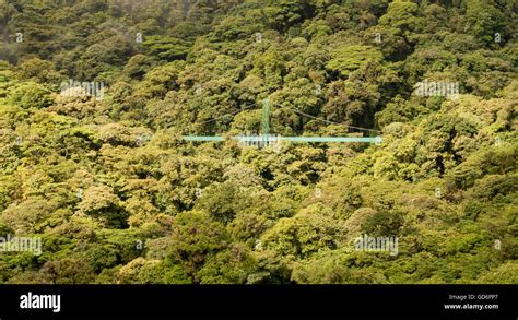 Canopy walk costa rica hi-res stock photography and images - Alamy