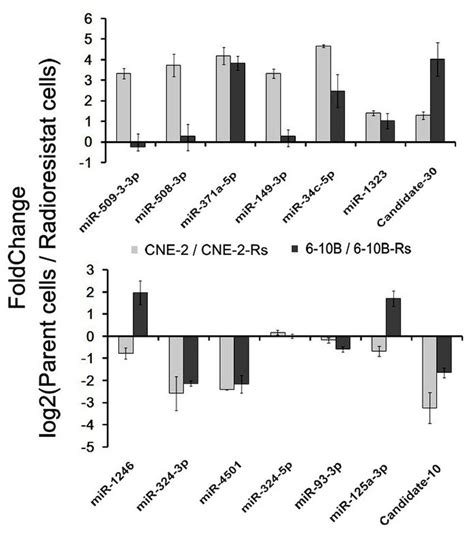 Differential Mir Expression Between Radioreisistant Cell And Their