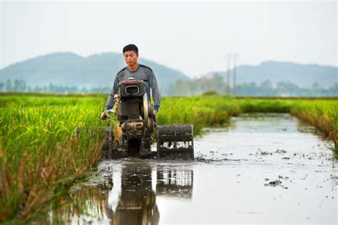 Agriculture In Vietnam On The Road To Development The Borgen Project