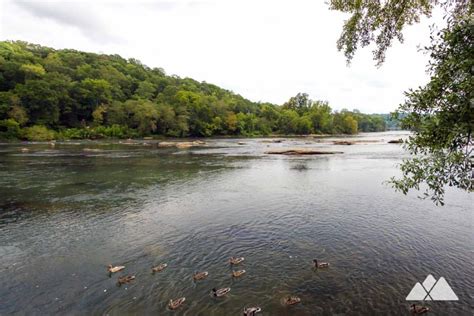 Chattahoochee River Near Atlanta Our Top 10 Favorite Hiking Trails